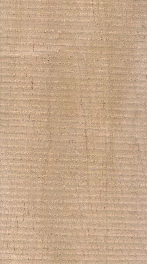 樺木的芯材顏色是淡紅棕色，邊材顏色近白色，板面寬且?guī)в暗哪酒な袌?chǎng)價(jià)格良好，紋理通常是直紋和波浪紋，質(zhì)地均勻，板面有很好的自然光澤度。.webp.jpg