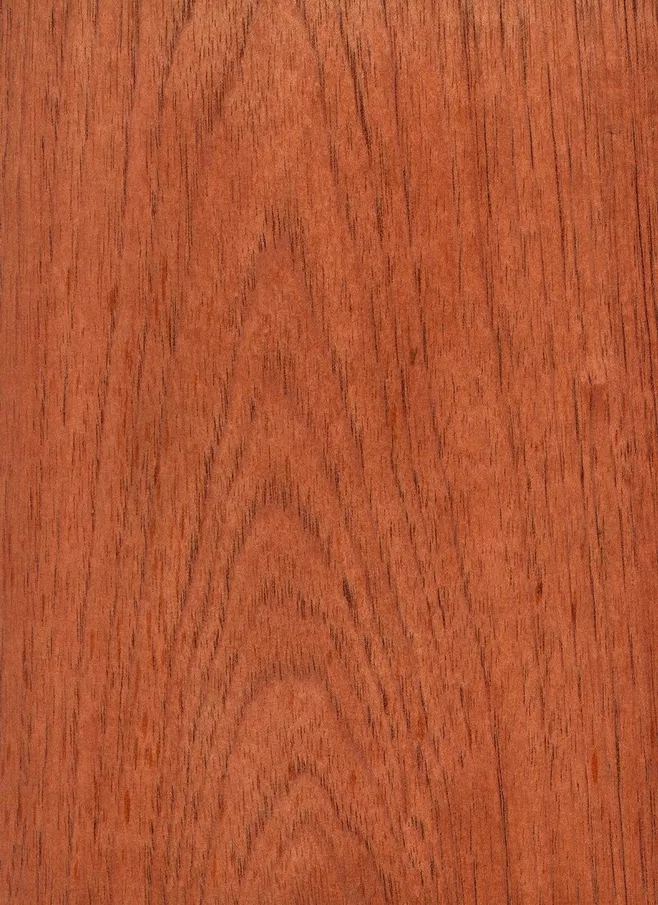 西班牙香杉的芯材為均勻的淺粉色到紅棕色，顏色一般會(huì)隨著樹(shù)木的增長(zhǎng)而加深，通常，木材都自帶樹(shù)脂和有油脂，木材板面看起來(lái)比較普通。紋理通常直，有局部交錯(cuò)，材質(zhì)均勻，天然光澤度一般。.webp.jpg